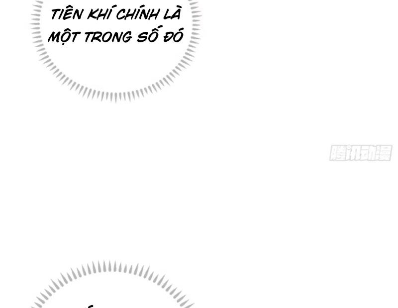 Đại Thừa Kỳ Mới Có Nghịch Tập Hệ Thống Chapter 41 - Trang 2