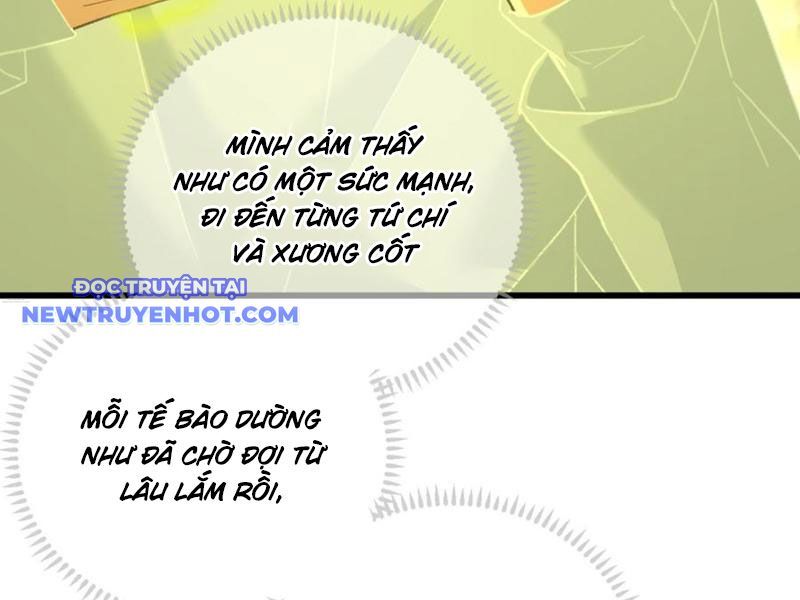 Đại Thừa Kỳ Mới Có Nghịch Tập Hệ Thống Chapter 44 - Trang 2