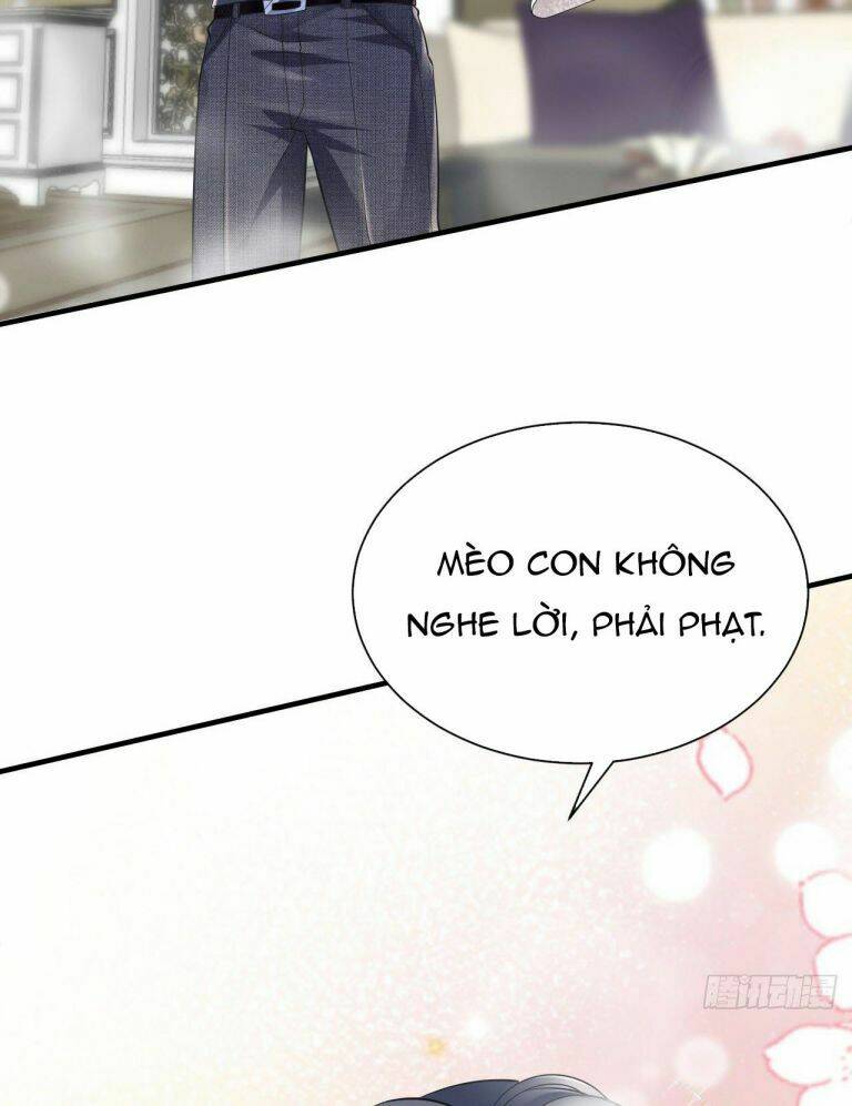 Đại Tiểu Thư Có Ý Đồ Gì Xấu Đâu Chapter 11 - Trang 2