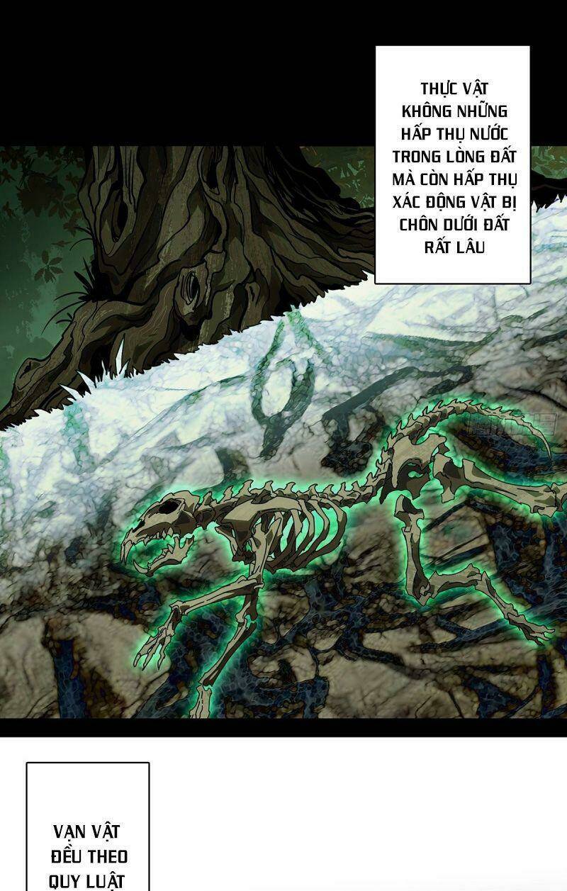 Đại Tượng Vô Hình Chapter 125 - Trang 2