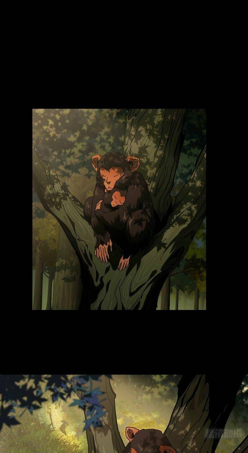 Đại Tượng Vô Hình Chapter 126 - Trang 2