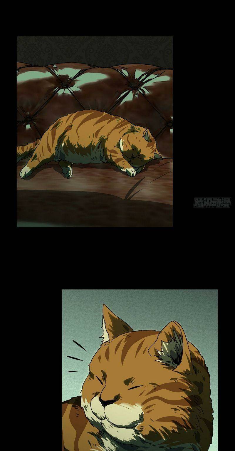 Đại Tượng Vô Hình Chapter 264 - Trang 2