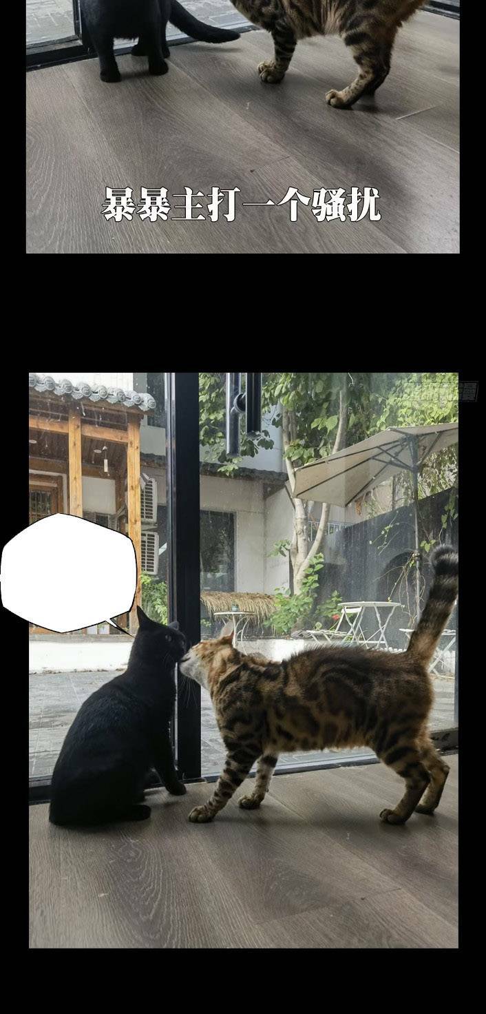 Đại Tượng Vô Hình Chapter 352 - Trang 2