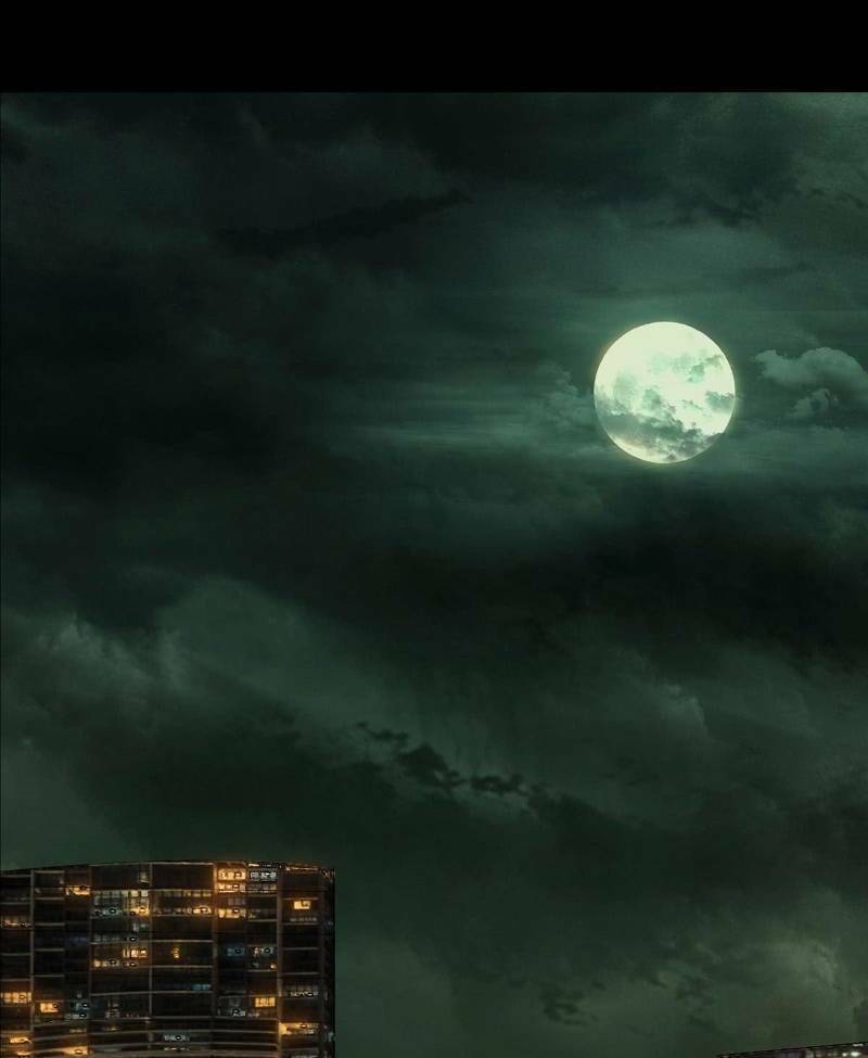 Đại Tượng Vô Hình Chapter 58 - Trang 2