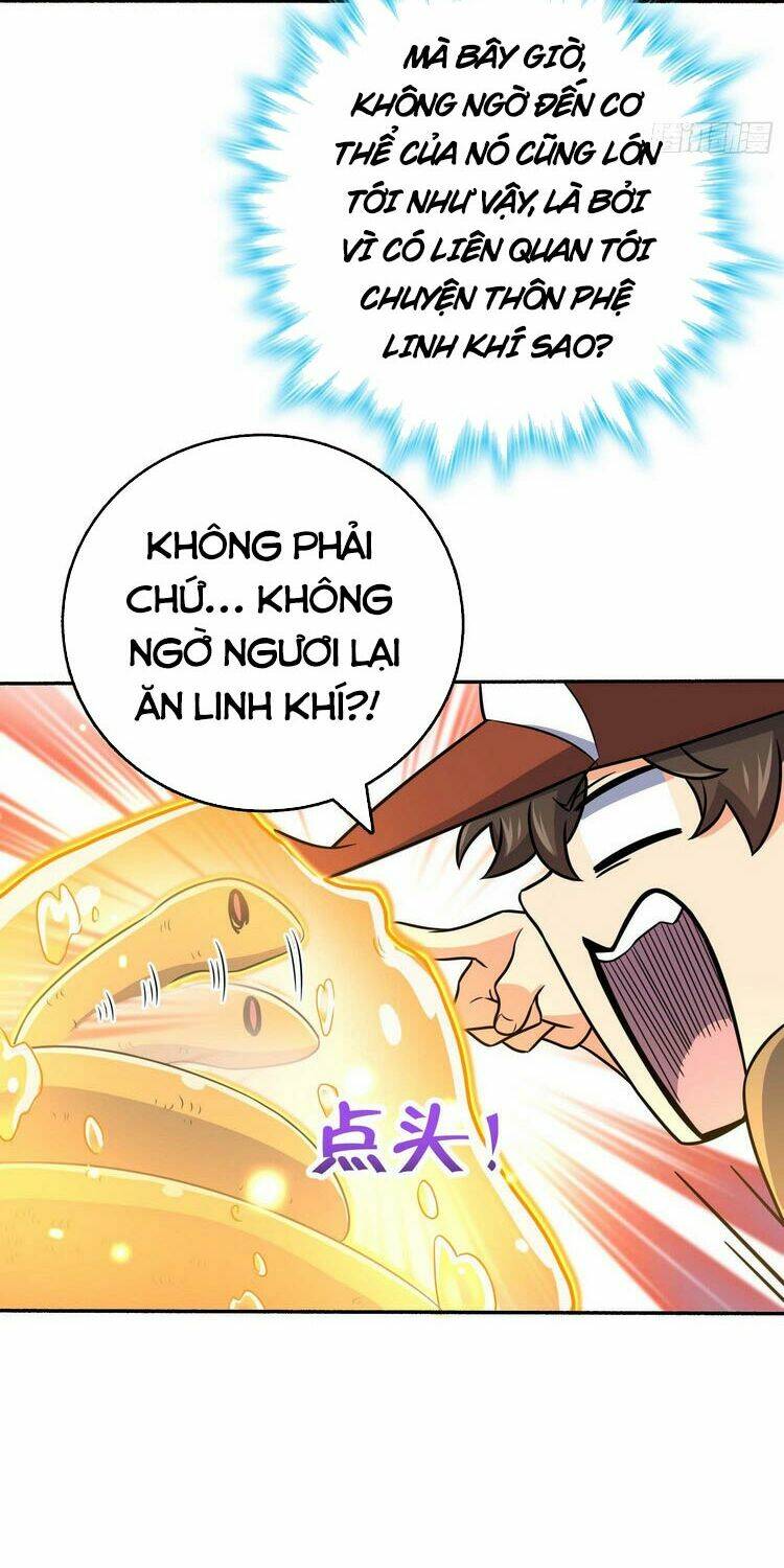 Đại Vương Tha Mạng Chapter 242 - Trang 2