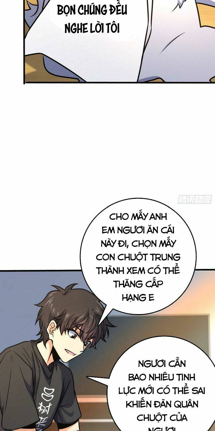 Đại Vương Tha Mạng Chapter 255 - Trang 2