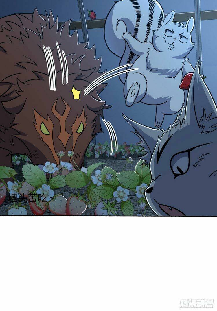 Đại Vương Tha Mạng Chapter 256 - Trang 2