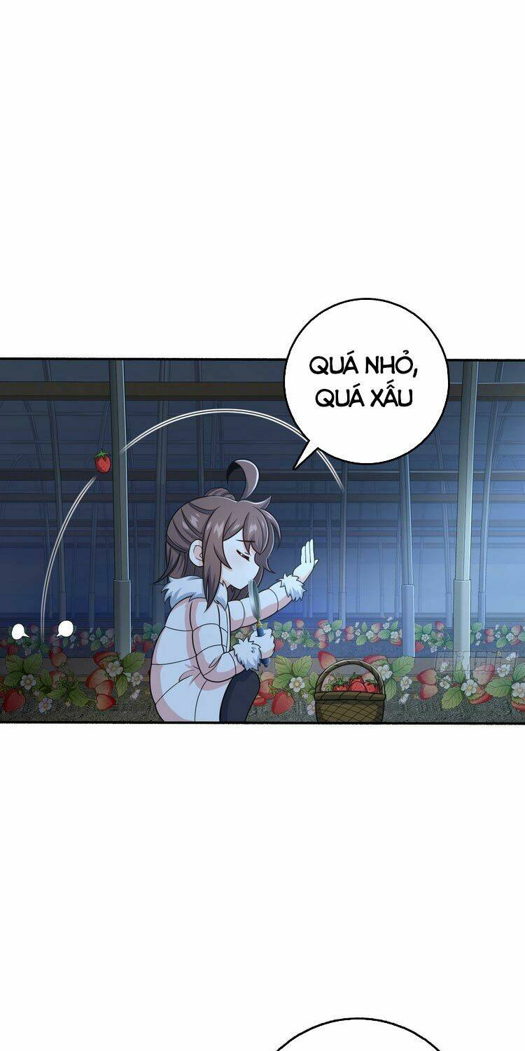 Đại Vương Tha Mạng Chapter 256 - Trang 2