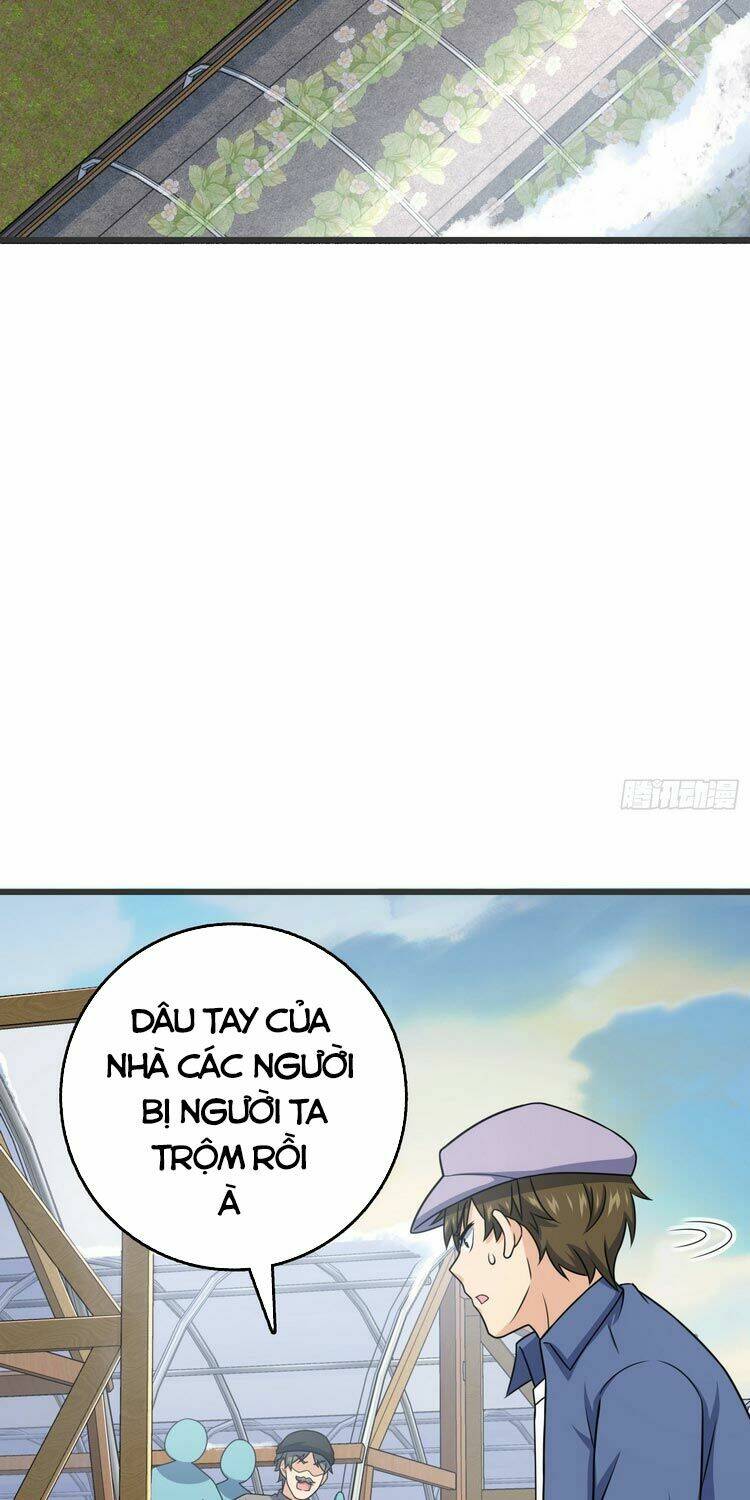 Đại Vương Tha Mạng Chapter 256 - Trang 2