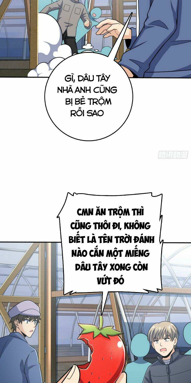 Đại Vương Tha Mạng Chapter 256 - Trang 2