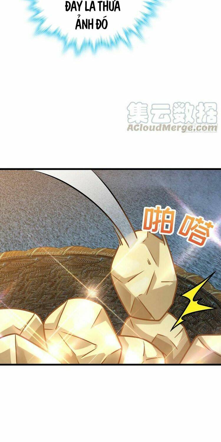 Đại Vương Tha Mạng Chapter 279 - Trang 2