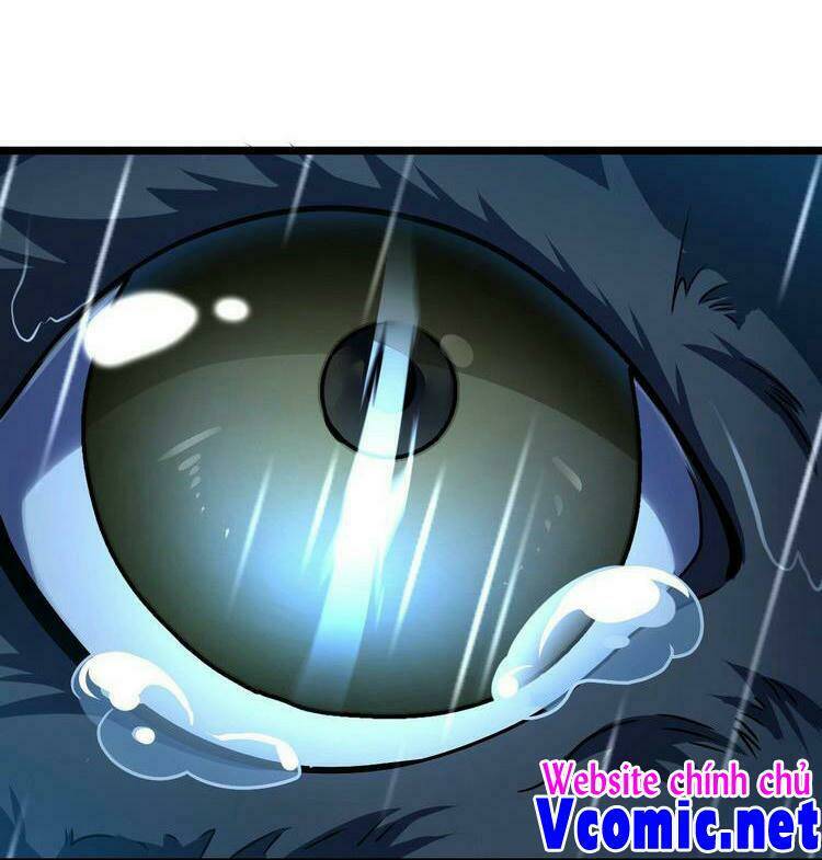 Đại Vương Tha Mạng Chapter 349 - Trang 2