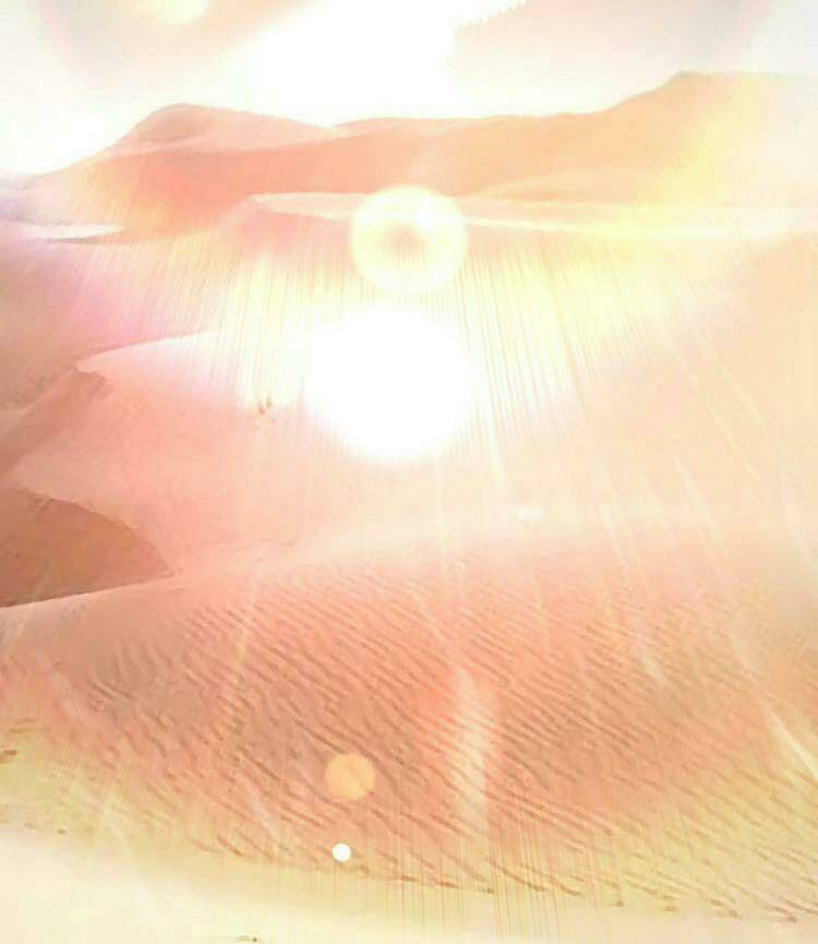 Đại Vương Tha Mạng Chapter 353 - Trang 2