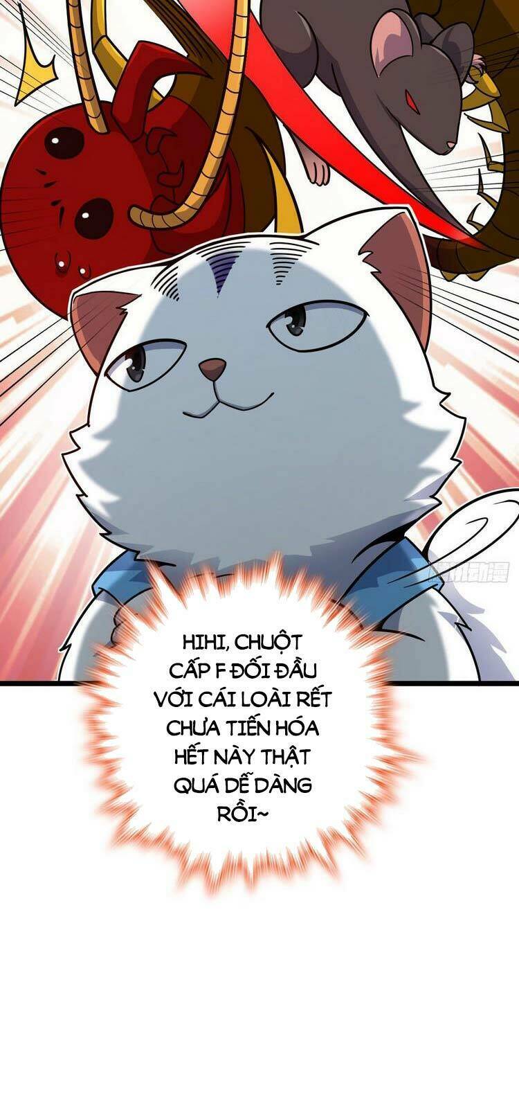 Đại Vương Tha Mạng Chapter 392 - Trang 2