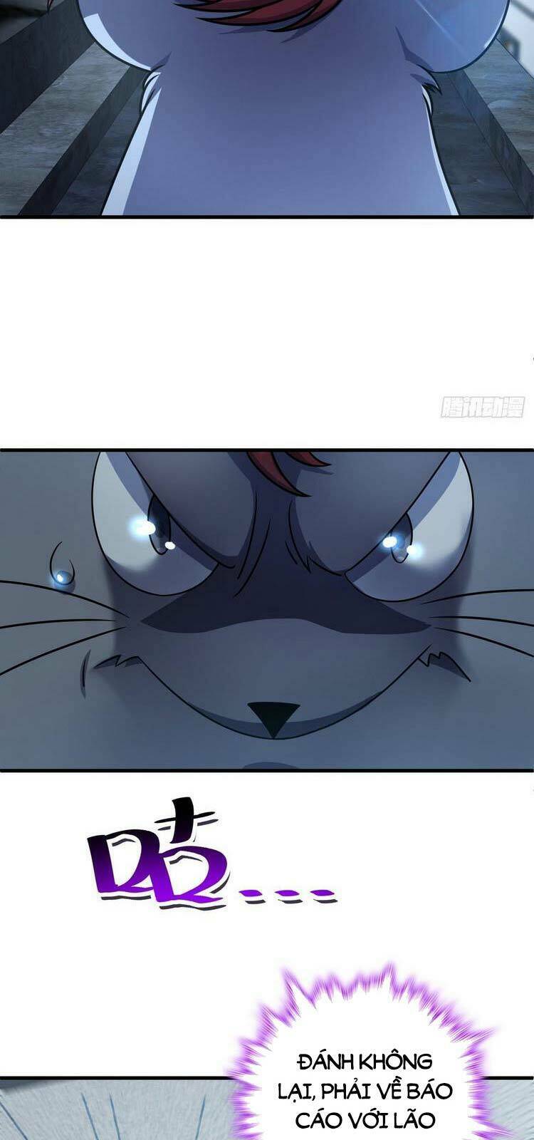 Đại Vương Tha Mạng Chapter 394 - Trang 2