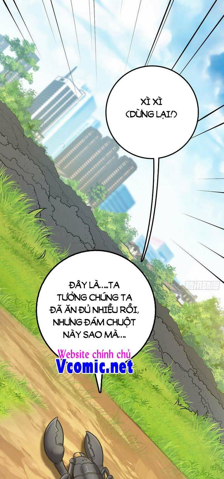 Đại Vương Tha Mạng Chapter 395 - Trang 2