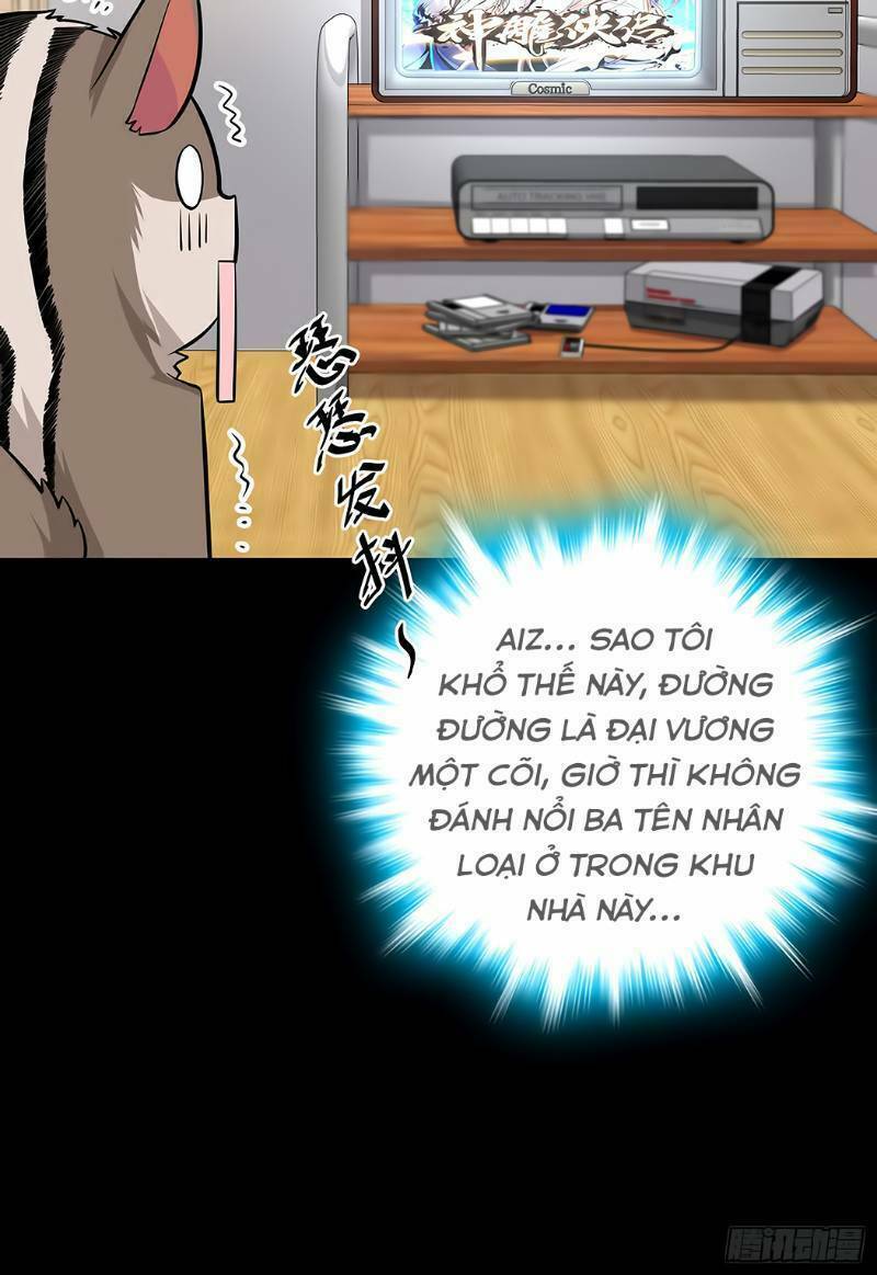 Đại Vương Tha Mạng Chapter 51 - Trang 2