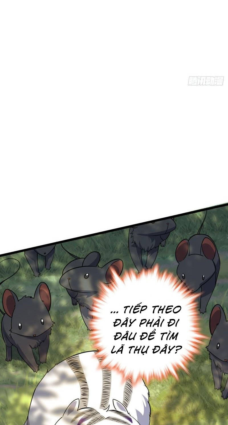 Đại Vương Tha Mạng Chapter 604 - Trang 2