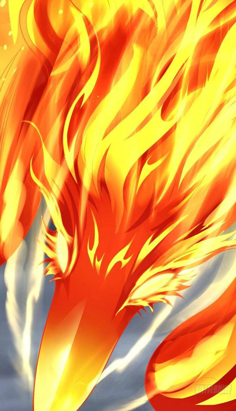 Đại Vương Tha Mạng Chapter 608 - Trang 2