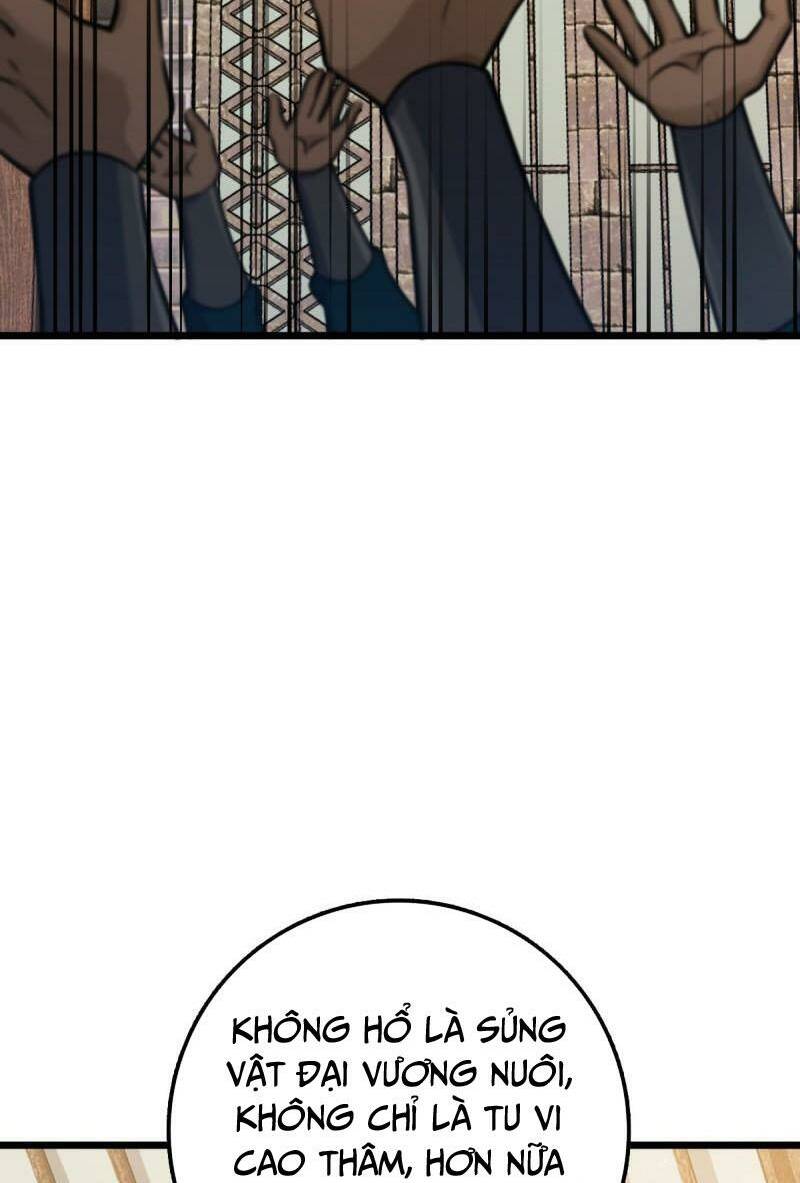 Đại Vương Tha Mạng Chapter 613 - Trang 2