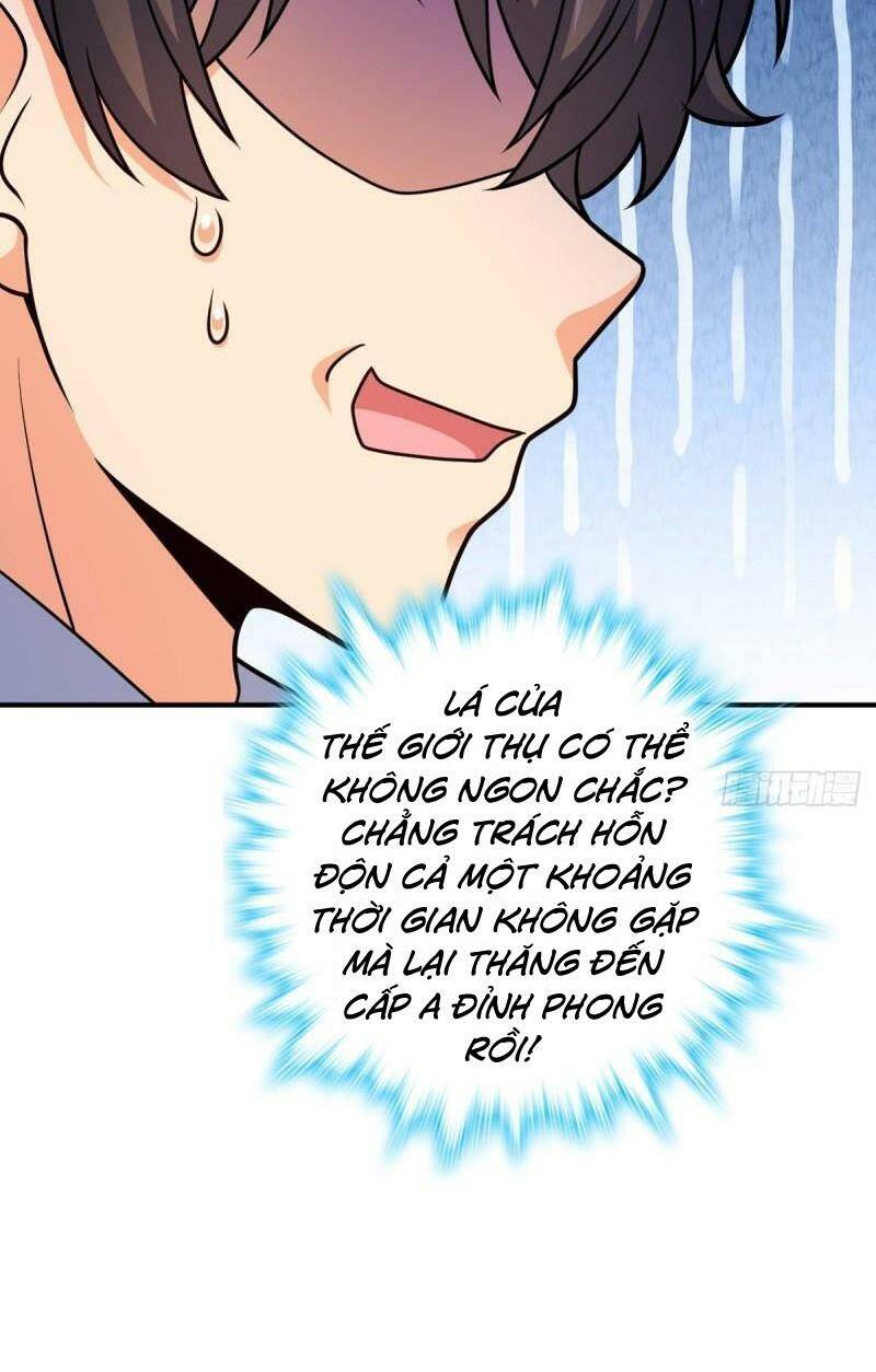 Đại Vương Tha Mạng Chapter 669 - Trang 2