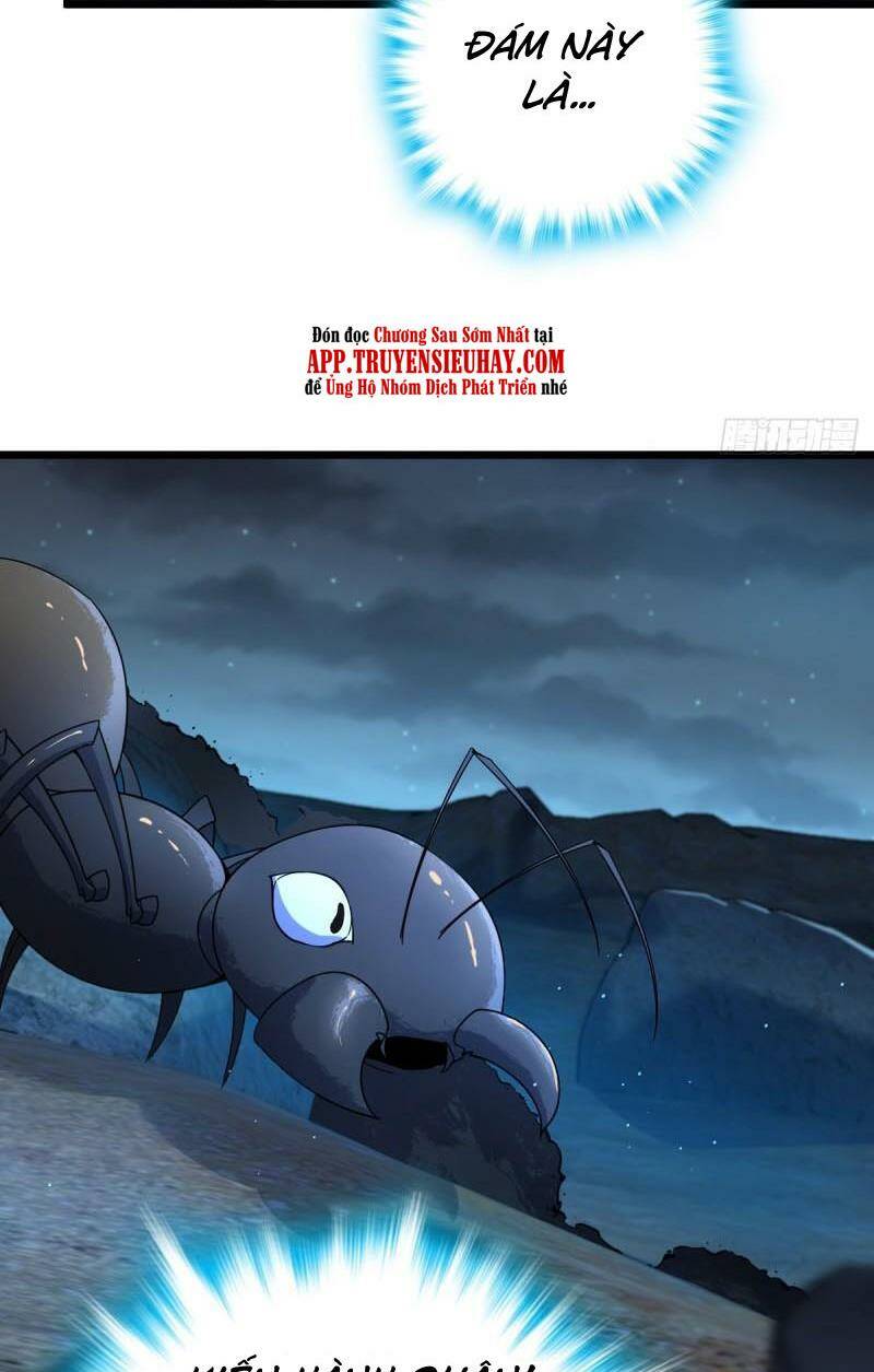 Đại Vương Tha Mạng Chapter 728 - Trang 2