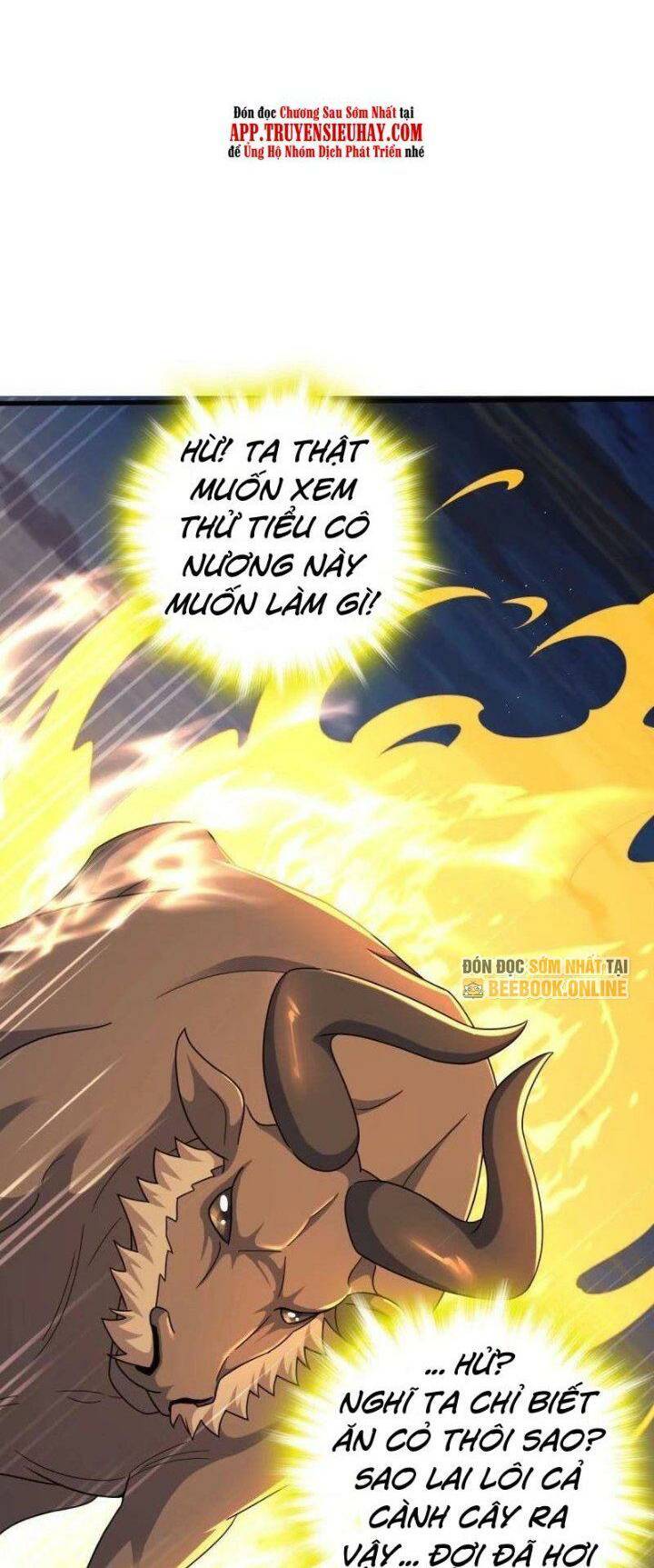 Đại Vương Tha Mạng Chapter 737 - Trang 2