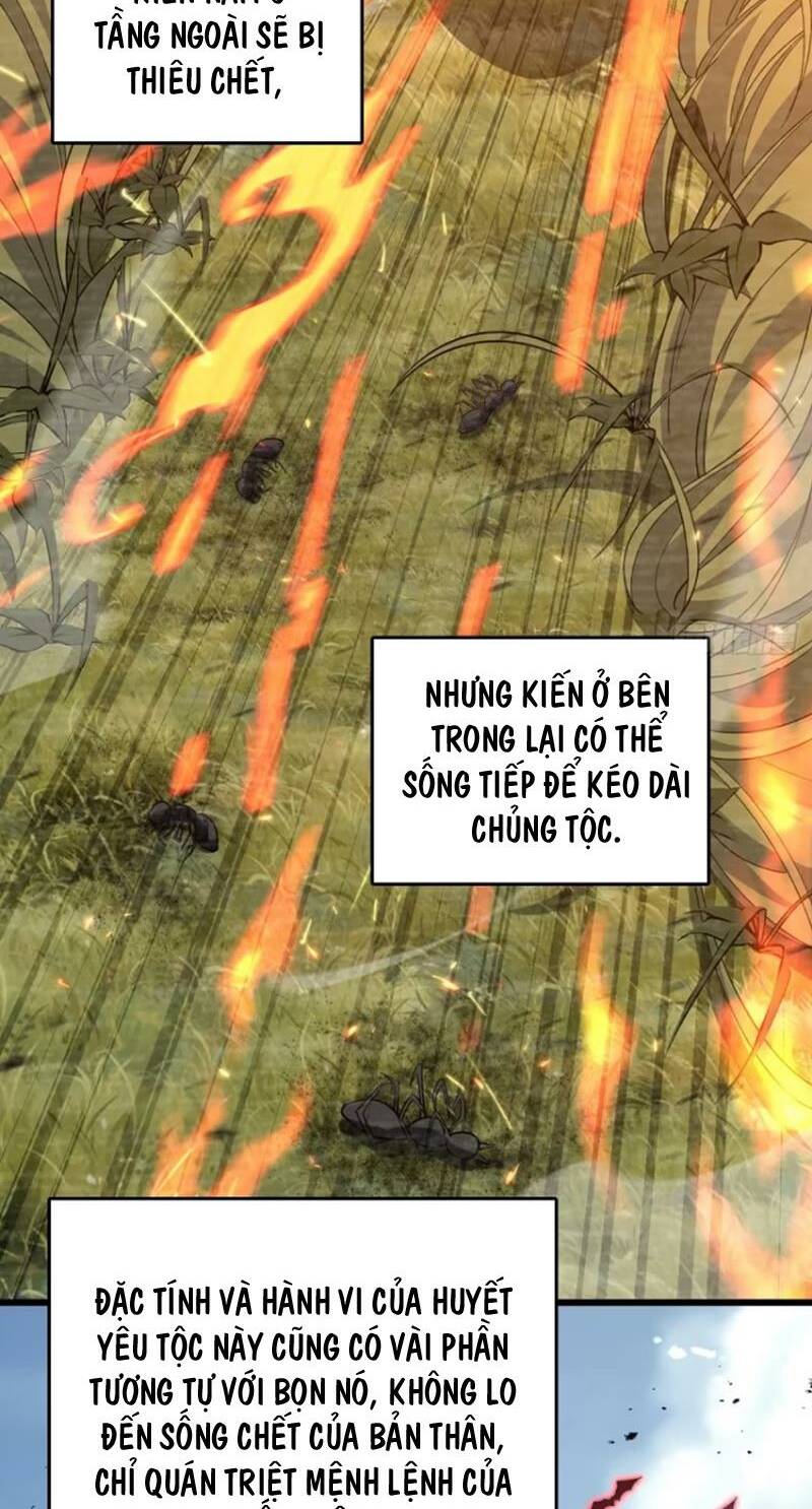 Đại Vương Tha Mạng Chapter 875 - Trang 2