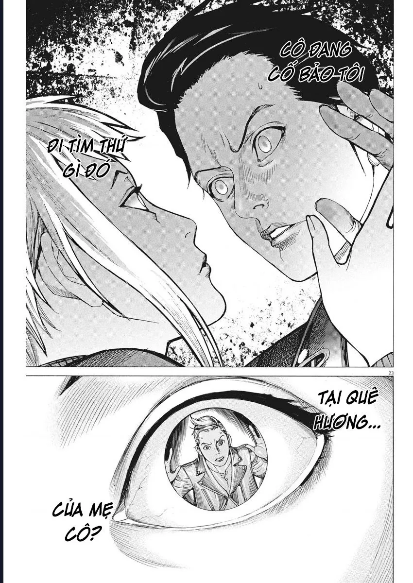 Đám Cưới Của Natsume Arata Chapter 49 - Trang 2