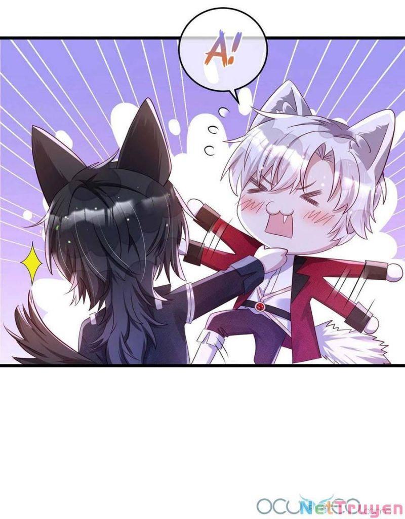 Dẫn Sói Vào Nhà Chapter 13 - Trang 2