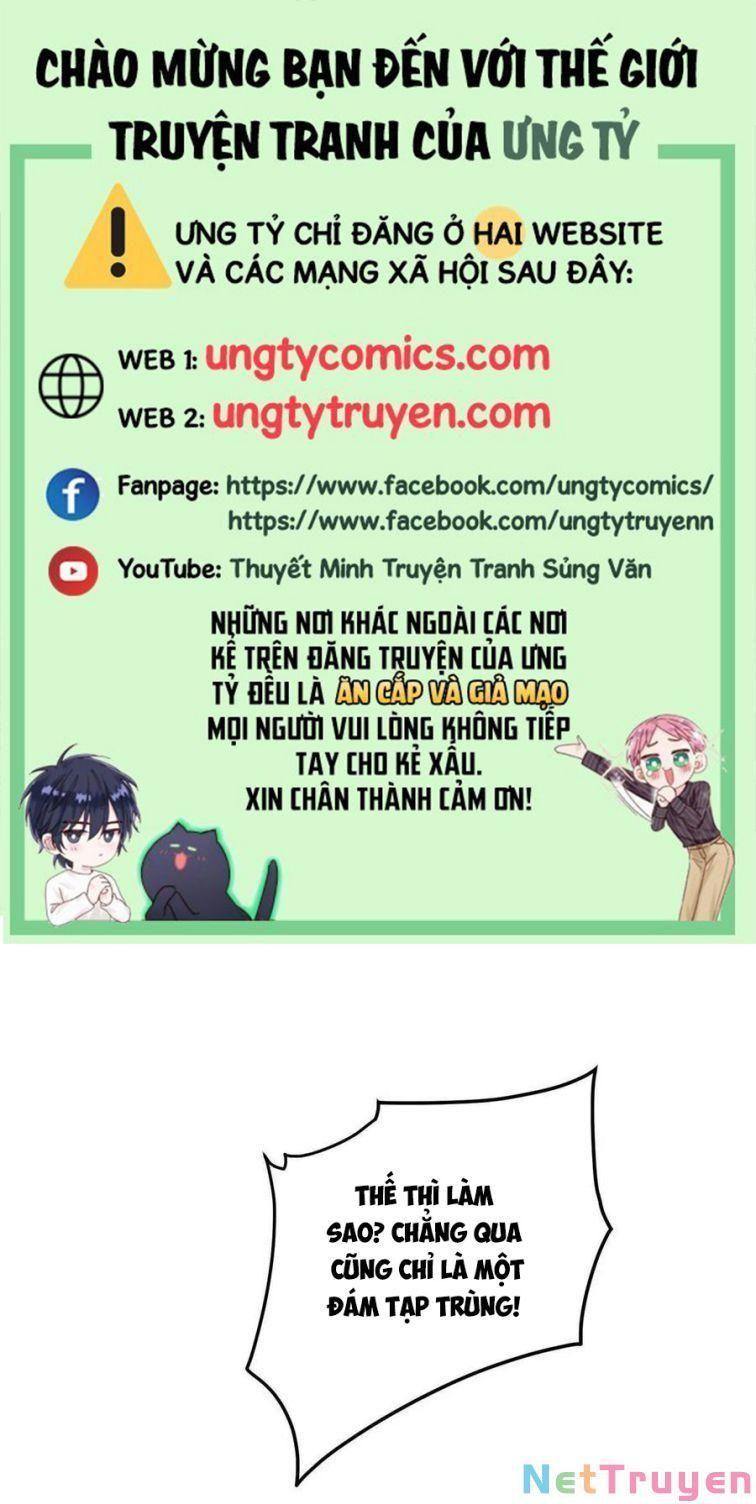 Dẫn Sói Vào Nhà Chapter 41 - Trang 2