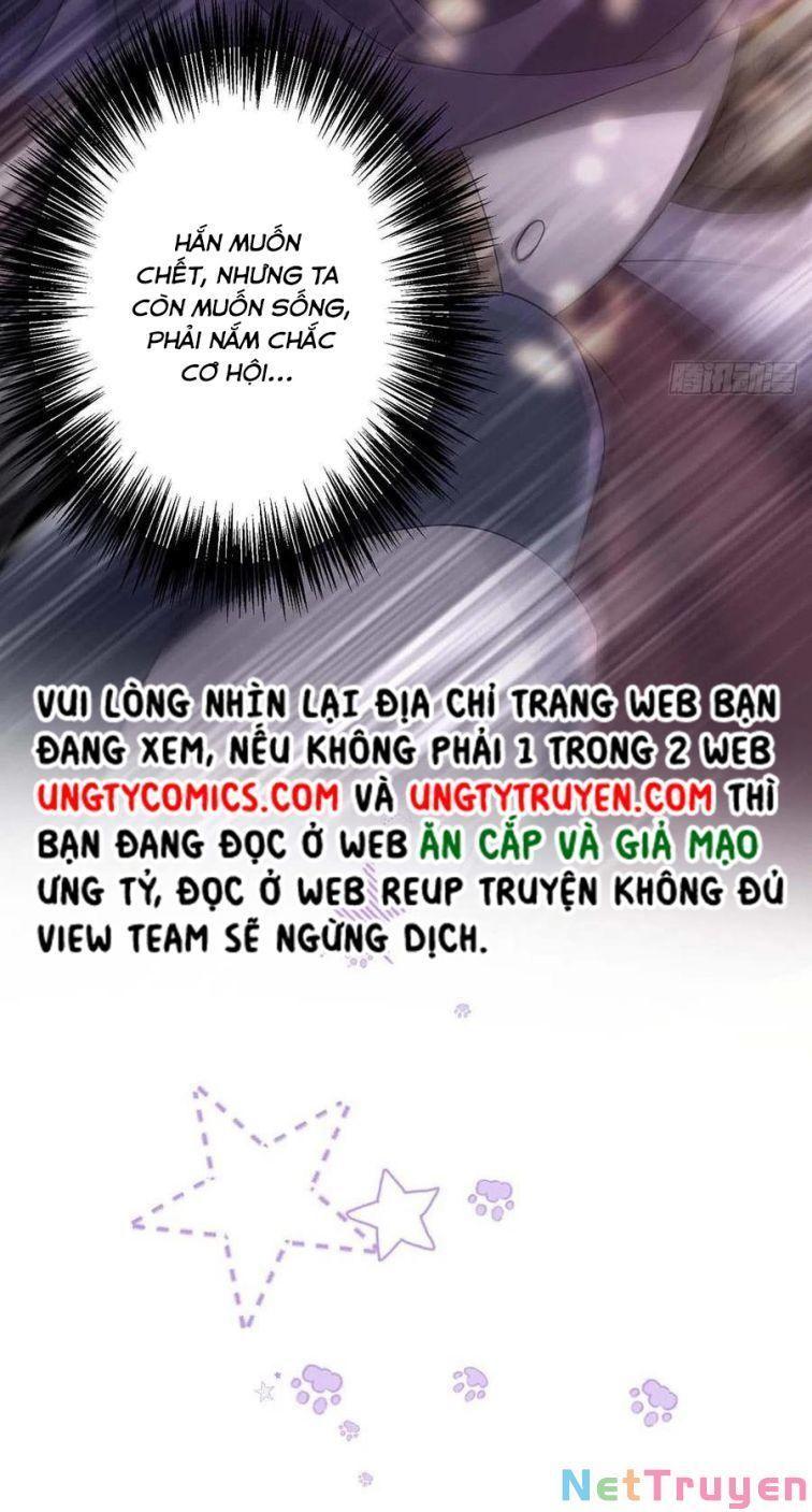 Dẫn Sói Vào Nhà Chapter 41 - Trang 2