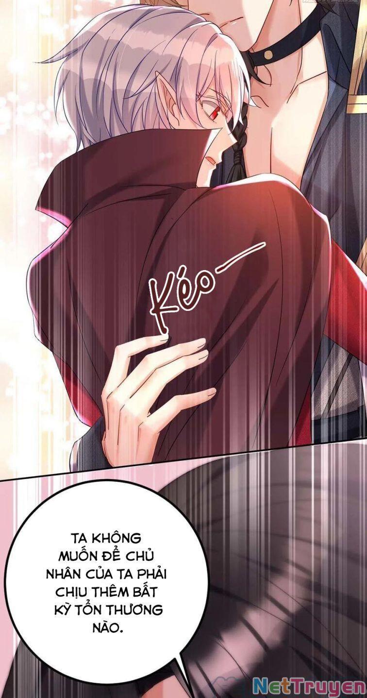 Dẫn Sói Vào Nhà Chapter 41 - Trang 2