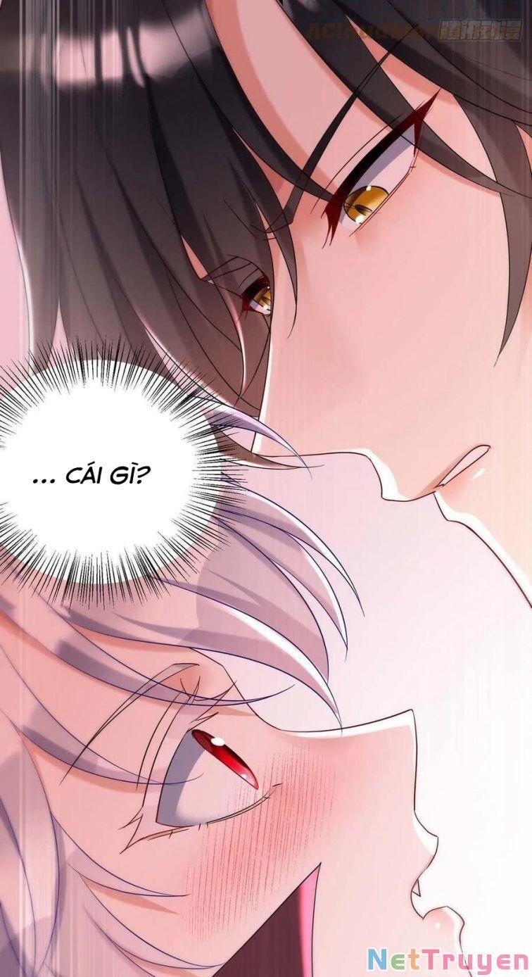 Dẫn Sói Vào Nhà Chapter 41 - Trang 2