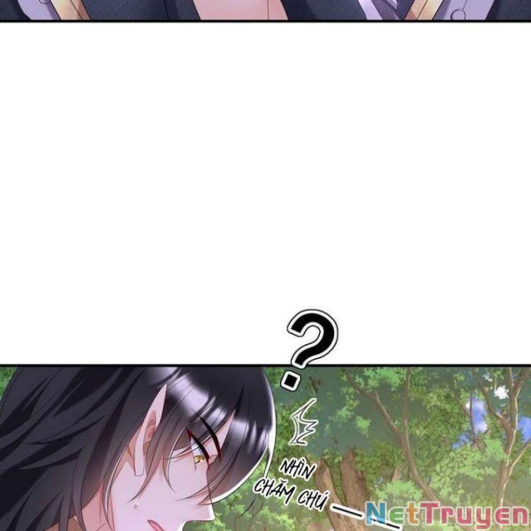 Dẫn Sói Vào Nhà Chapter 44 - Trang 2