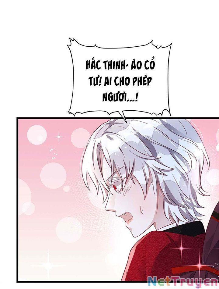 Dẫn Sói Vào Nhà Chapter 5 - Trang 2