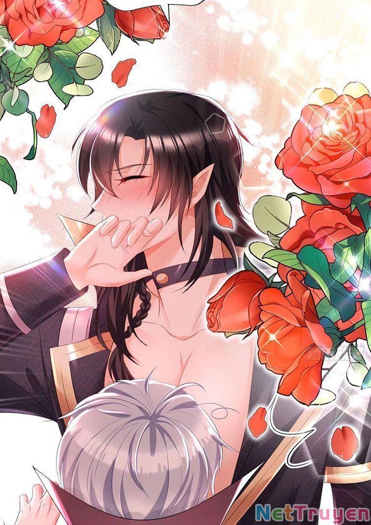 Dẫn Sói Vào Nhà Chapter 62 - Trang 2