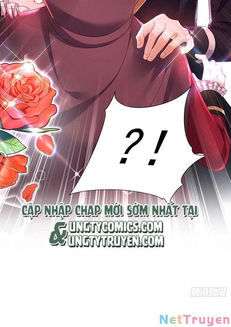 Dẫn Sói Vào Nhà Chapter 62 - Trang 2