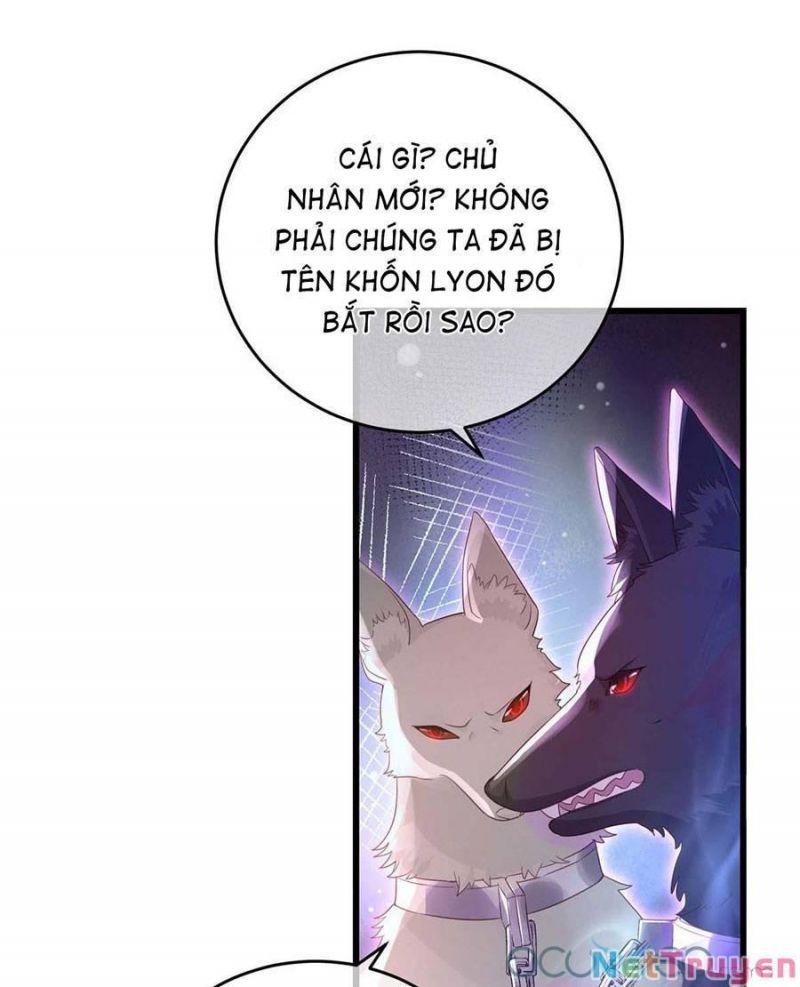 Dẫn Sói Vào Nhà Chapter 7 - Trang 2