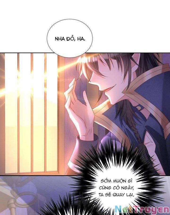 Dẫn Sói Vào Nhà Chapter 70 - Trang 2
