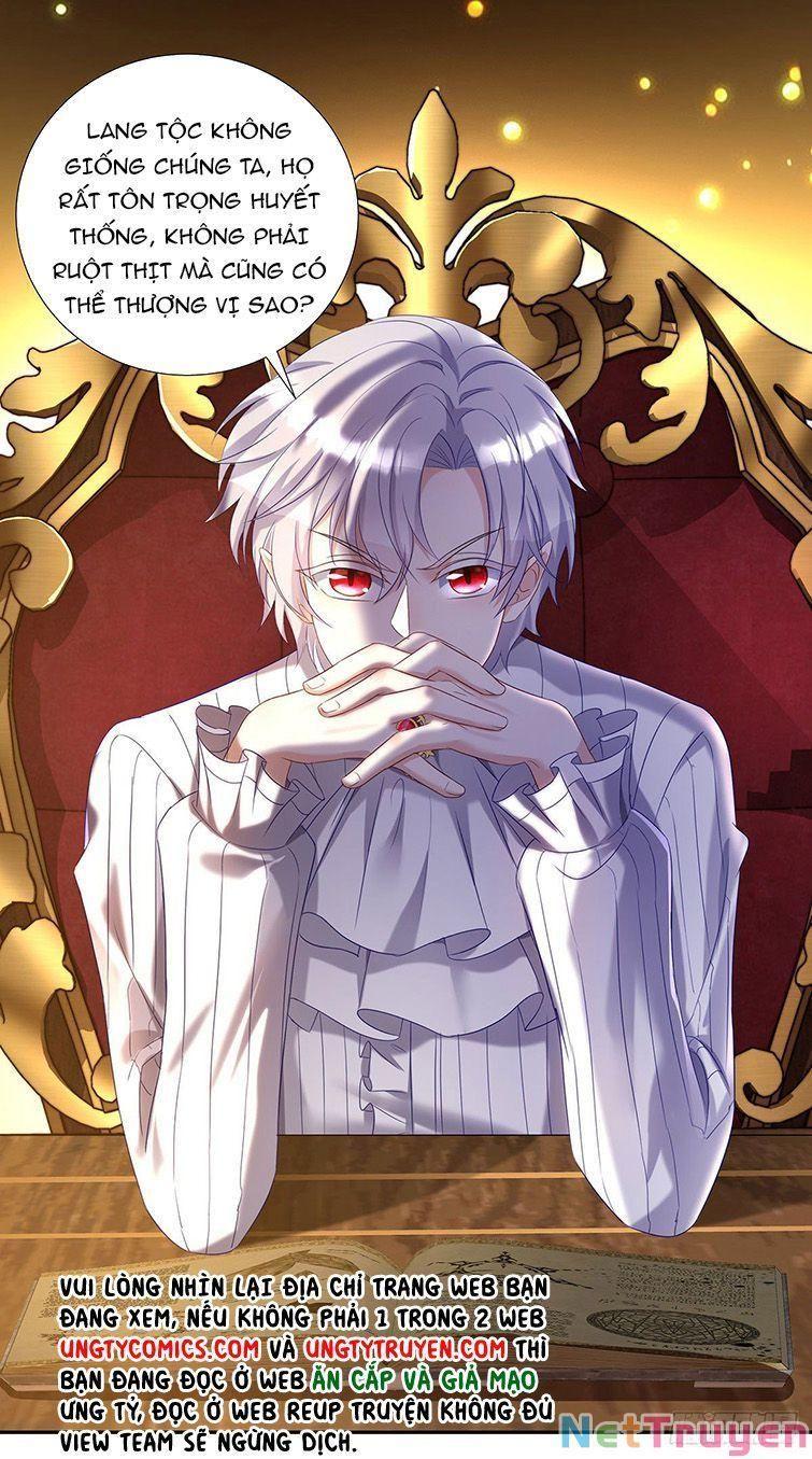 Dẫn Sói Vào Nhà Chapter 73 - Trang 2