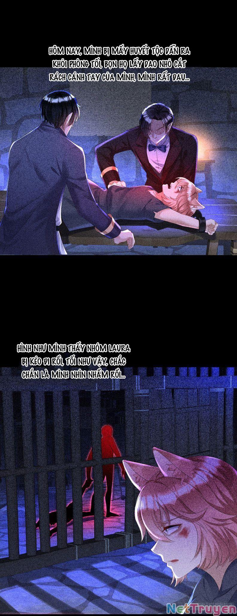 Dẫn Sói Vào Nhà Chapter 77 - Trang 2