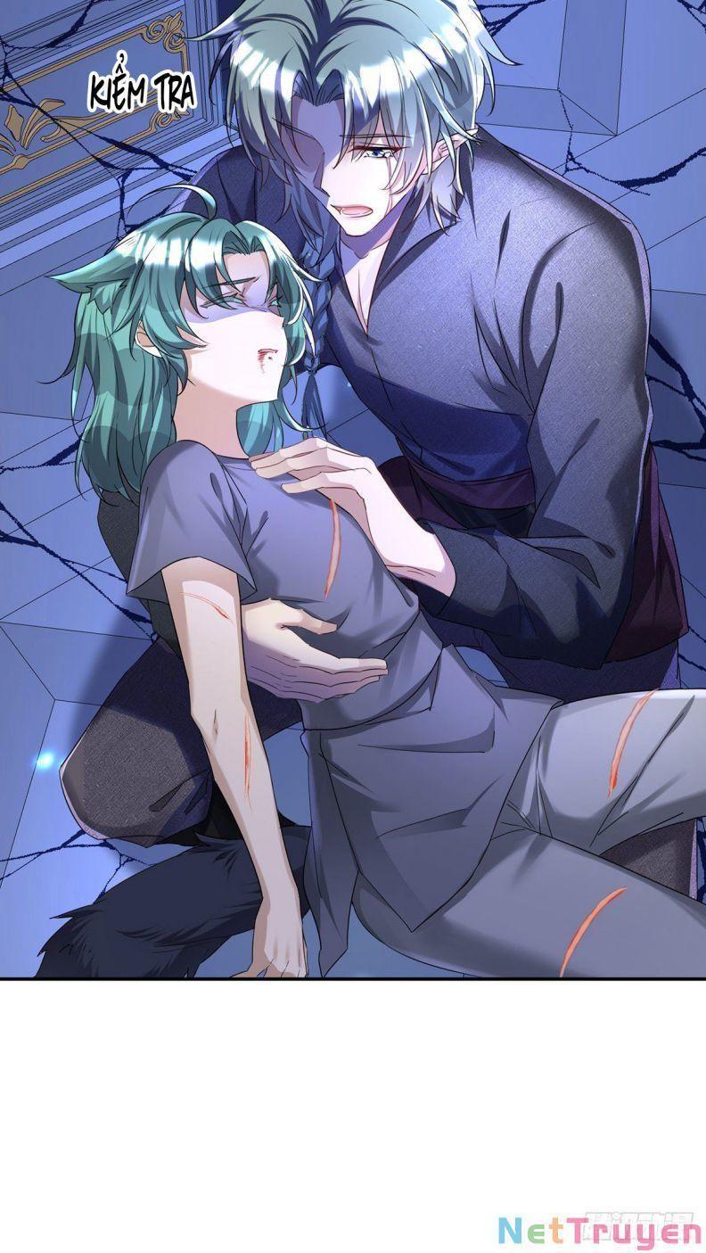 Dẫn Sói Vào Nhà Chapter 88 - Trang 2