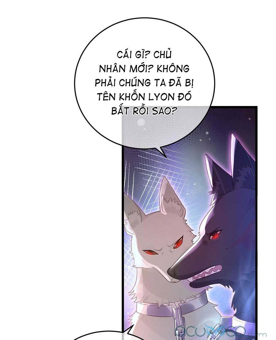 Dẫn Sói Vào Phòng Chapter 7 - Trang 2
