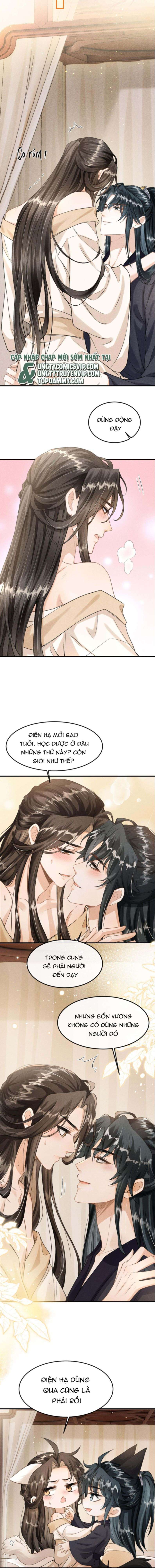 Đan Tiêu Vạn Dặm Chapter 21 - Trang 2