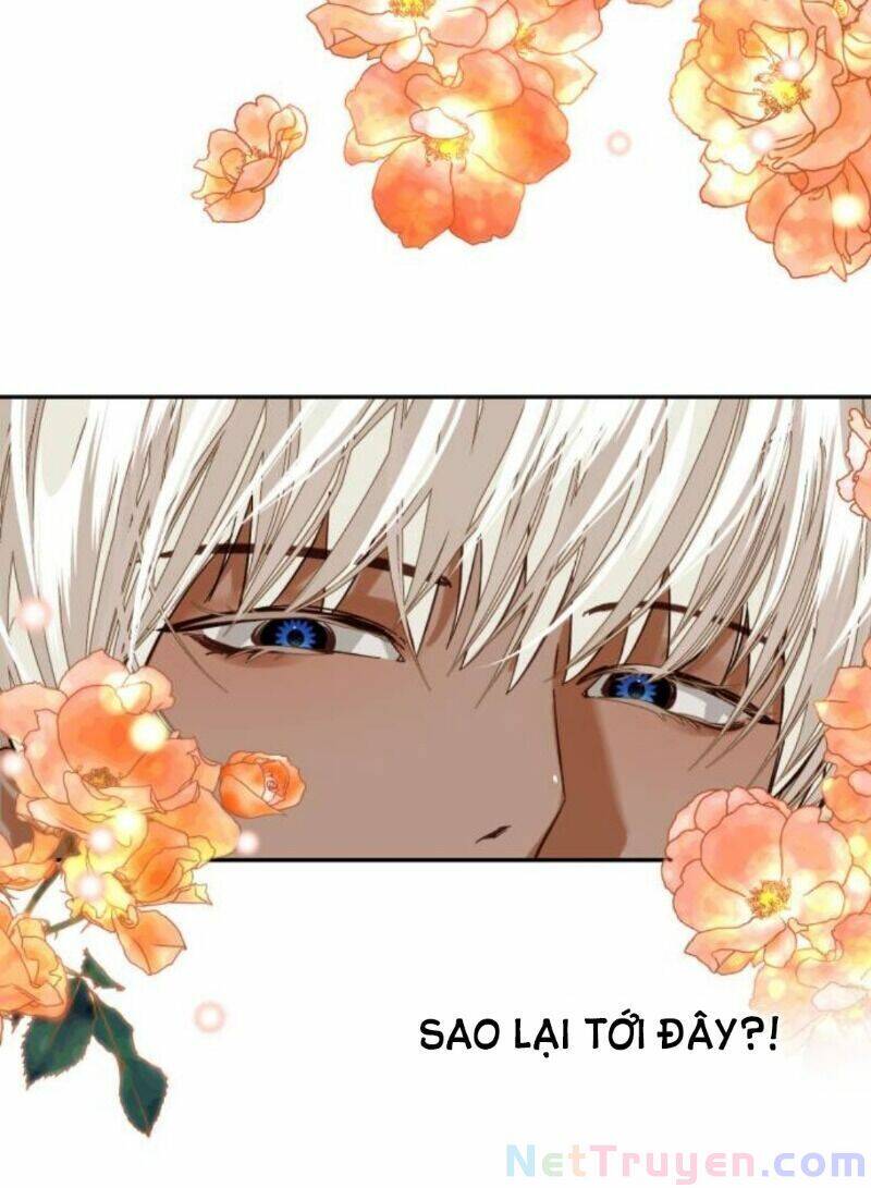 Dàn Trai Đẹp Chốn Hậu Cung Chapter 12 - Trang 2