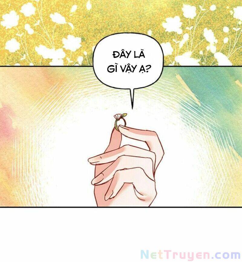 Dàn Trai Đẹp Chốn Hậu Cung Chapter 2 - Trang 2