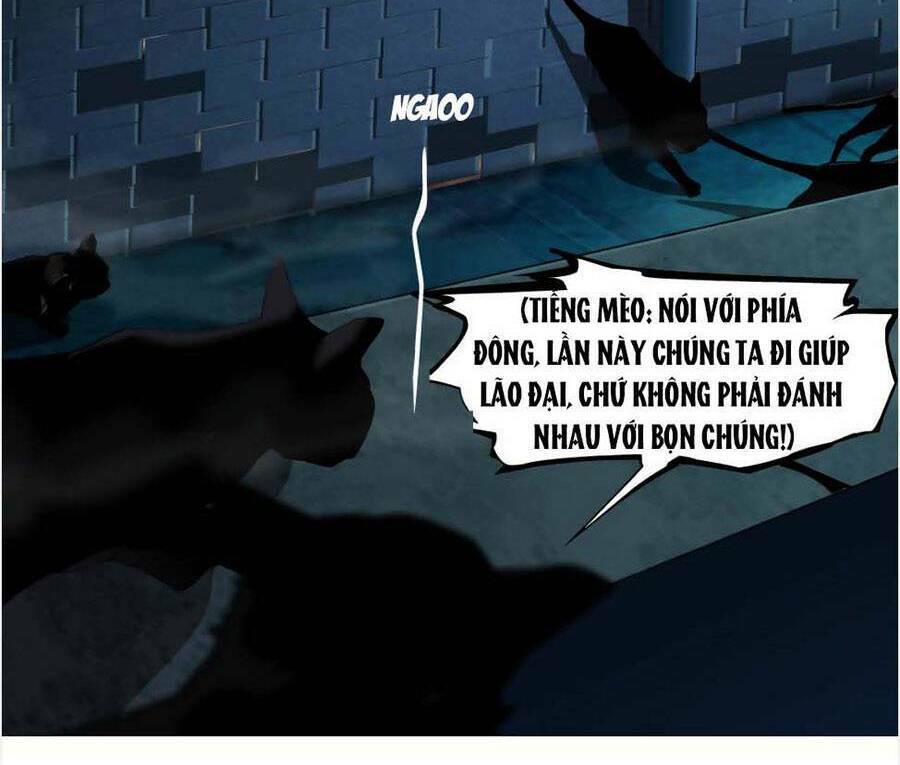 Đằng Nữ Chapter 129 - Trang 2