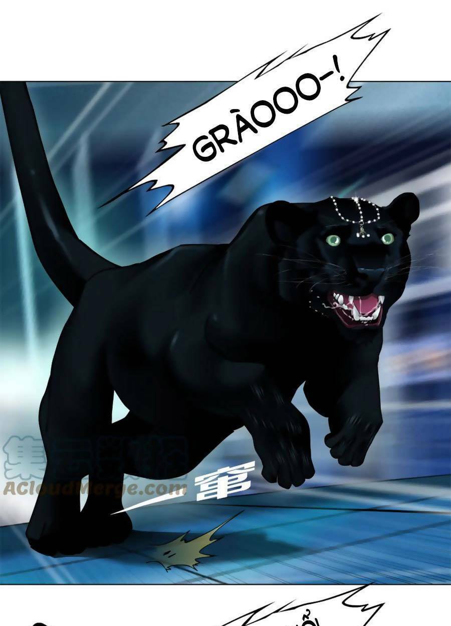 Đằng Nữ Chapter 135 - Trang 2