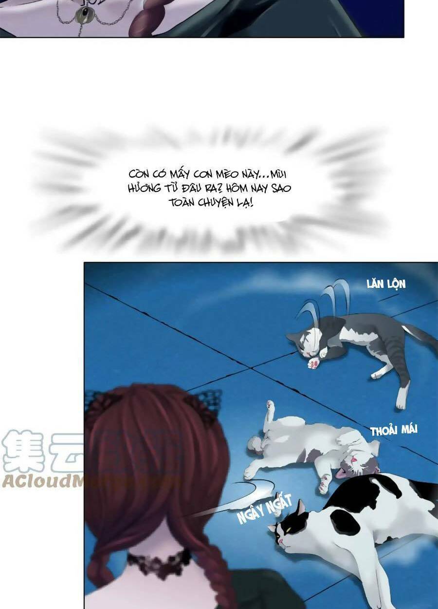 Đằng Nữ Chapter 135 - Trang 2